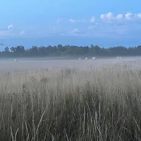 Haus Matti 度假居 *