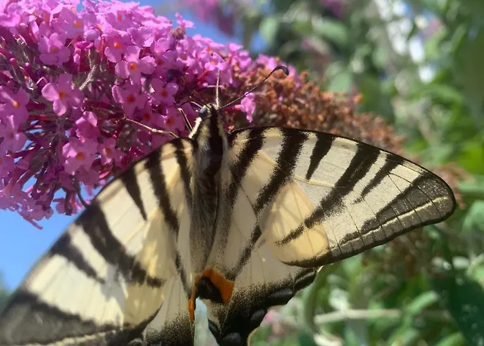 Hébergement de vacances Haus Matti