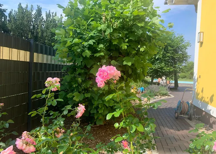 Haus Matti Hébergement de vacances Meuro